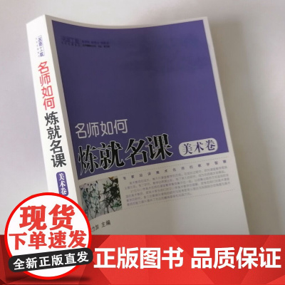 名师如何练就名课 美术卷 中小学美术教师怎么上好美术课 美术教师课堂教学反思笔记