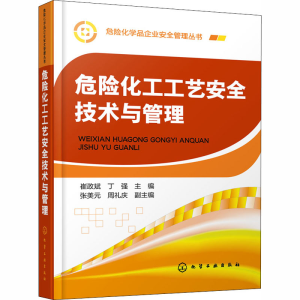 醉染图书危险化工工艺安全技术与管理9787124192