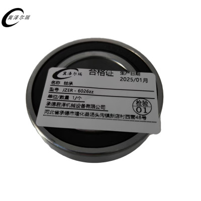 冀泽尔瑞 轴承 JZER - 6026zz 个