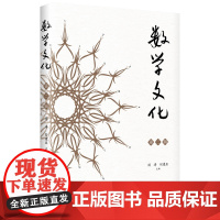 数学文化·第二辑 优秀数学家编写高质量普及性文章 数学文化故事传播推动数学教育 阐述数学的文化意义与价值的作品书籍