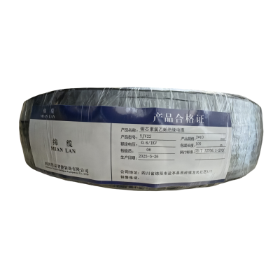 绵缆 铜芯聚氯乙烯绝缘电缆 YJV22-0.6/1kV-2*10 米