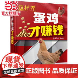 这样养蛋鸡才赚钱 肖冠华 化学工业出版社 正版书籍