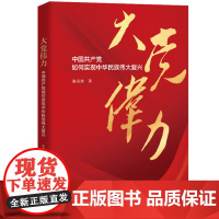 大党伟力:中国共产党如何实现中华民族伟大复兴 人民大学出版社 9787300332529 正版图书