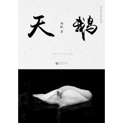 正版新书]天鹅杨帆9787539995083