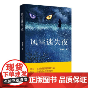 风雪迷失夜