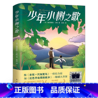 少年小树之歌 [正版]失落的一角五年级阅读课外书线条绘本大师谢尔 希尔弗斯坦精品绘本班主任小学生四五六年级课外阅读经典书