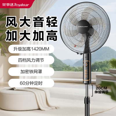 荣事达落地扇家用电风扇定时摇头加密铁网罩16寸大风力电扇FS40-B16(H)