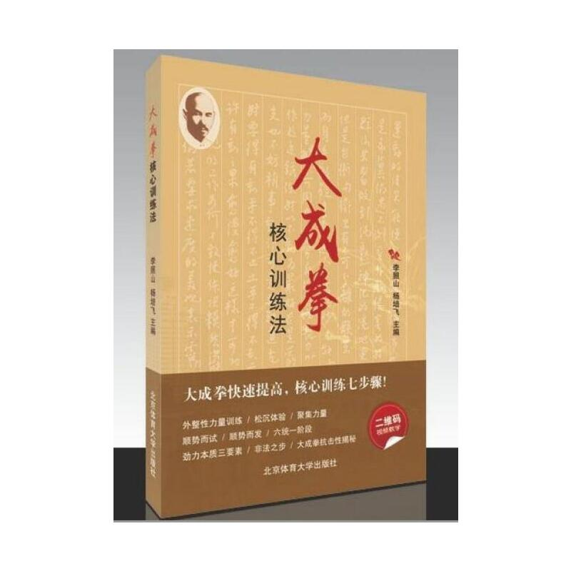 醉染图书大成拳核心训练法978756442