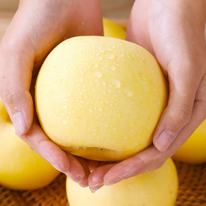 [西沛生鲜]辽宁黄元帅苹果 净重2.7斤 中果 单果75-80mm 脆甜可口