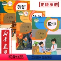 [正版]2024使用小学6六年级下册语文数学英语全套3本人教版6六年级下册语数英书六下语文六下数学六下英语人教新版