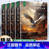 全4册 战争与和平 [正版]精装珍藏版世界文学名著名译典藏中小学生课外阅读书籍外国文学名家翻译爱的教育爱丽丝梦游奇境变形