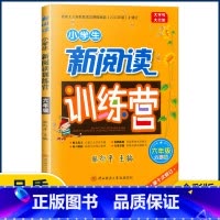 6年级 小学通用 [正版]2022版小学生新阅读训练营 一二三四五六年级小升初 第十次修订语文阅读理解专项训练升学总复习