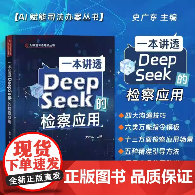 一本讲透deepseek的检察应用 史广东 手把手教优化指令提升问答质量 解锁进阶操作模式 深度激发AI检察生产力 13
