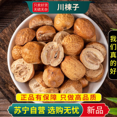 川楝子100克干货正品新货川楝楝树子实楝实煮水苦楝子石茱萸金铃子仁枣