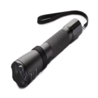 虎光风行 强光电筒 FL-IW7622B 3W 黑色