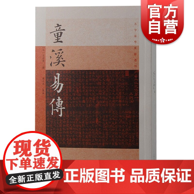 童溪易传 王宗传撰 上海古籍出版社