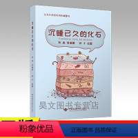 [正版]新书 沉睡已久的化石 中国地质大学出版社让石头说话系列科普图书作者为古生物学博士陈晶 恐龙化石的书等