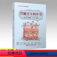 [正版]新书 沉睡已久的化石 中国地质大学出版社让石头说话系列科普图书作者为古生物学博士陈晶 恐龙化石的书等