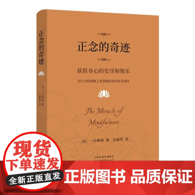 正念的奇迹 一行禅师 人生哲学心理学舍得放下 介绍禅修之智慧和胜妙的优秀作品 河南文艺出版社 正版书籍