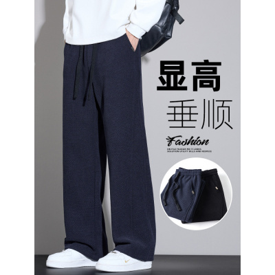 男士休闲裤子秋春新款高级感宽松直筒显高卫裤秋季运动阔腿裤
