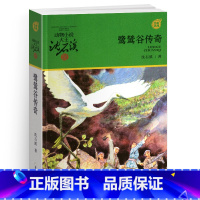鹭鸶谷传奇 [正版]野犬女皇沈石溪小学四年级五年级全集全套书浙江少年儿童出版社非注音版完整版动物小说大王品藏书系小学生课
