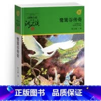鹭鸶谷传奇 [正版]野犬女皇沈石溪小学四年级五年级全集全套书浙江少年儿童出版社非注音版完整版动物小说大王品藏书系小学生课