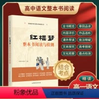 红楼梦 高中一年级 [正版]红楼梦 整本书阅读与检测 高中生书籍文学名著高一课外经典书目 精读高一语文整本书 高中教辅工