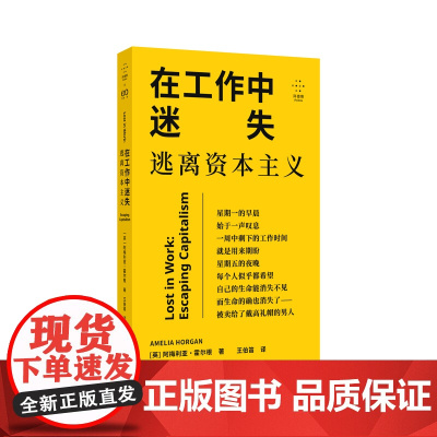 在工作中迷失:逃离资本主义(努力不一定带来满足,摸鱼可能有点道理)9787532191956 上海文艺出版社 阿梅利亚