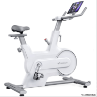 麦瑞克MERACH磁控直立动感单车插电式110kg大承重家用健身骑行神器J绝影CC