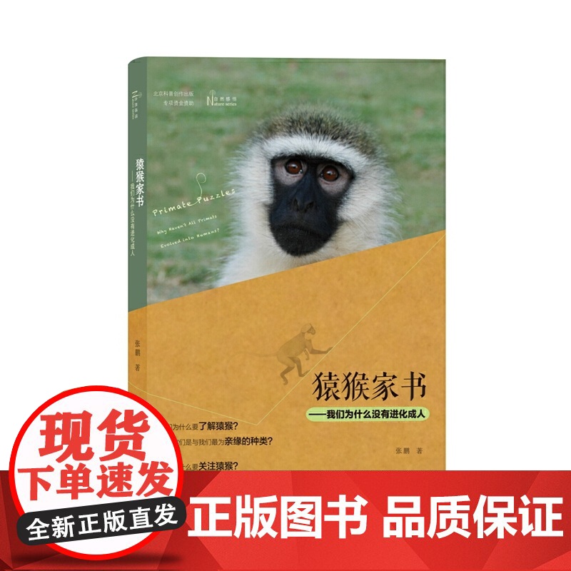 猿猴家书——我们为什么没有进化成人 张鹏 著 商务印书馆 正版书籍