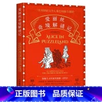 [正版]爱丽丝奇境解谜记 中小学课外读物益智图书烧脑解谜书籍爱丽丝漫游奇境推理故事书专注力训练锻炼孩子的逻辑思维能力数