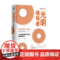 光明领导者 21世纪的领导力跃升和组织变革 许正 著 管理