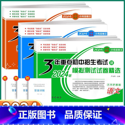 [语文] 小学升初中 [正版]2024新版 3年重点初中招生考试模拟测试试卷精选小学六年级升初中语文数学英语同步训练练习