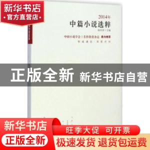 正版 2014年中短篇小说选粹 杨庆祥 编 北岳文艺出版社 978753784