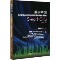 正版新书]数字中国(现代智慧城市理论与智慧建设高质量实践路径)