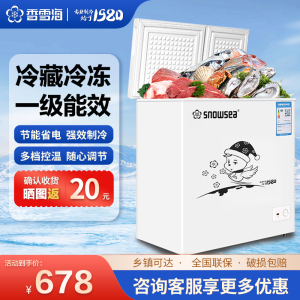 香雪海 168升 冰柜小型家用 一级能效 冰柜 冷柜家用顶开门 卧式冷柜冷冻冷藏转换 双温柜 BCD-168A
