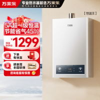 万家乐恒温王燃气热水器JSQ30-16P3(F)天然气5A超一级恒温家用16升洗澡一级节能省气防冻