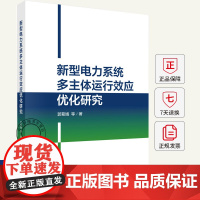新型电力系统多主体运行效应优化研究 郭菊娥 编著 9787030814258 科学出版社