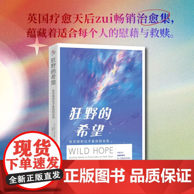 狂野的希望 在灰暗的日子里找到光亮 唐娜·阿什沃斯 著 励志与成功