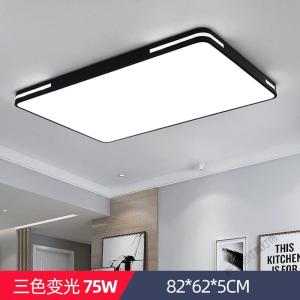 苏宁放心购 凯都 led吸顶灯具套餐 现代简约大厅灯 客厅灯大灯吸顶灯长方形卧室灯房间灯平板灯 餐厅遥控灯饰