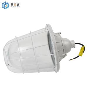 照立方 防爆灯 200型 50W 个