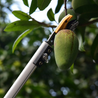 铁迅加长柄树枝剪FF99 把