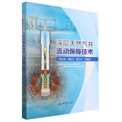 [N]深层天然气井流动保障技术-9787518357642