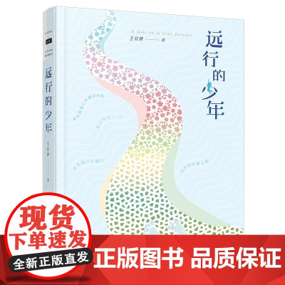 远行的少年 接力出版社 王欣婷著 著