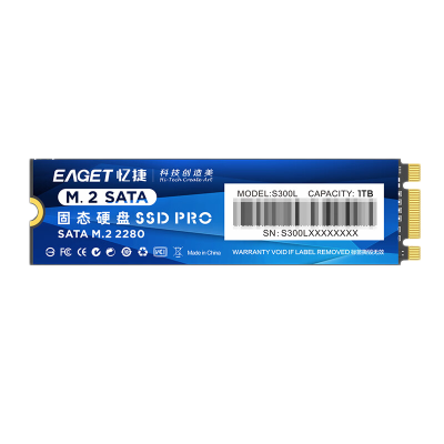 忆捷(Eaget) S300L-1TB固态(SSD固态硬盘、M.2接口、NGFF协议)