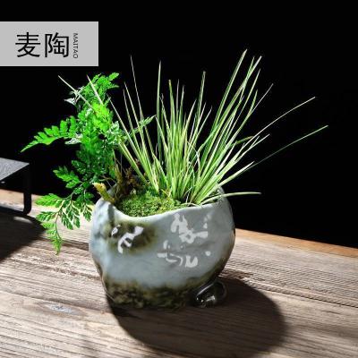 美帮汇禅创意陶瓷花盆简约个性菖蒲袖珍椰子植用室内组合盆栽装饰品