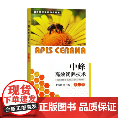 中蜂高效饲养技术 第二版 9787109331808 罗岳雄 编 中国农业出版社