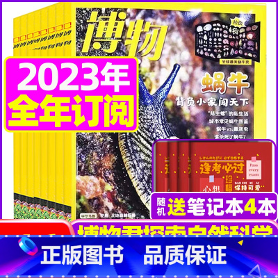 C[跨年订阅送6个笔记本]2023年11月-2024年10月 [正版]鸻鹬专题博物杂志2023年10月另有1-9月可选+