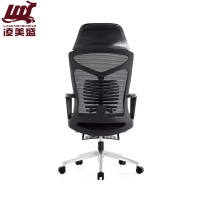 凌美盛 办公椅人体工学椅LMS-163/把