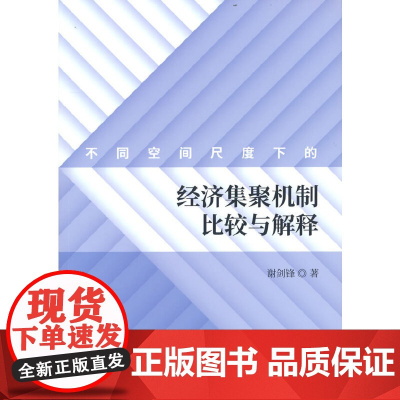 不同空间尺度下的经济集聚机制比较与解释
